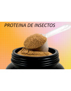 Proteína